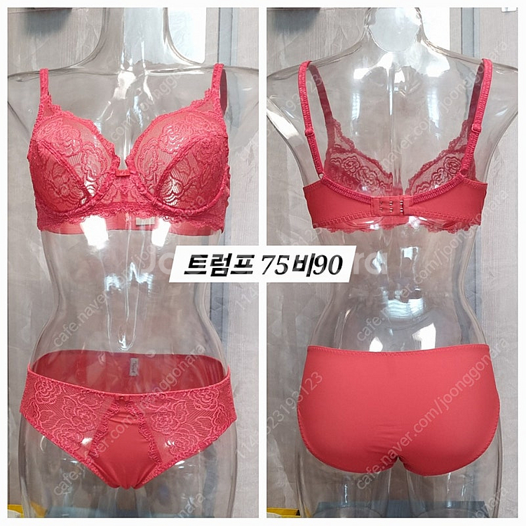 팬티 브라자 트럼프 브라 팬티 75b 90--0