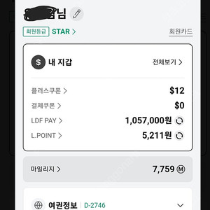 ldf pay 양도 1057000원 전점사용