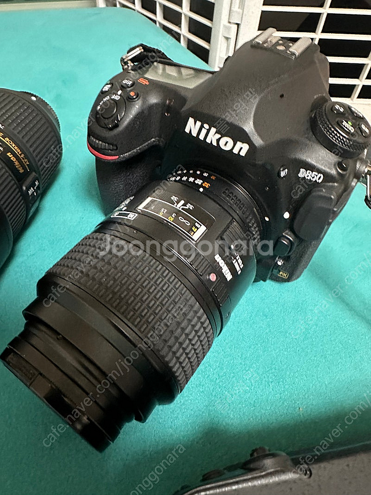 니콘 D850과 24-70렌즈--0