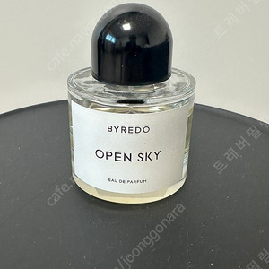 바이레도 오픈스카이 100ml
