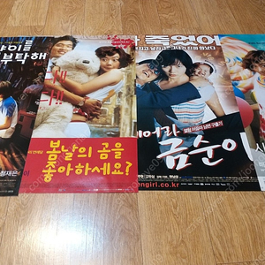 영화 포스터, 2001년,고양이를 부탁해,2003년 봄날의 곰을 좋아하세요, 2종, 2002년,굳세어라 금순아,