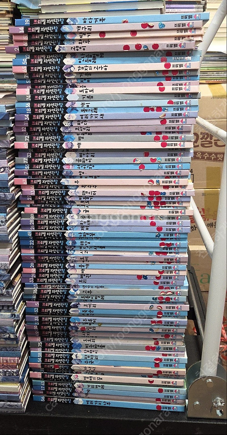 프뢰벨 신자연관찰 프뢰벨 76권 세트 배송비포함 안전결...--0