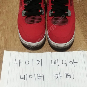 [250] 조던4 토로