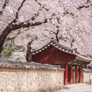 4/5일 (토요일)경주 담톤 스위트룸 양도합니다.