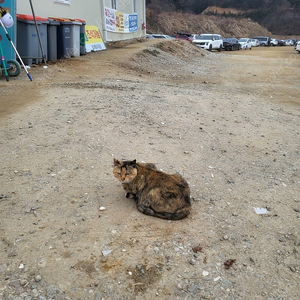 오늘(4/5) 서울 숙박 구해요