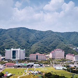 (오늘숙박) 홍천 비발디 (조식3인+워터파크3인포함) 가실 분