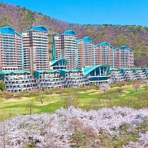 (오늘 급가실분) 비발디 올인크루시브 29만 특가!!