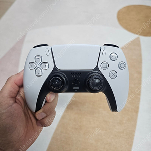 PS5 듀얼센스 일부 하자