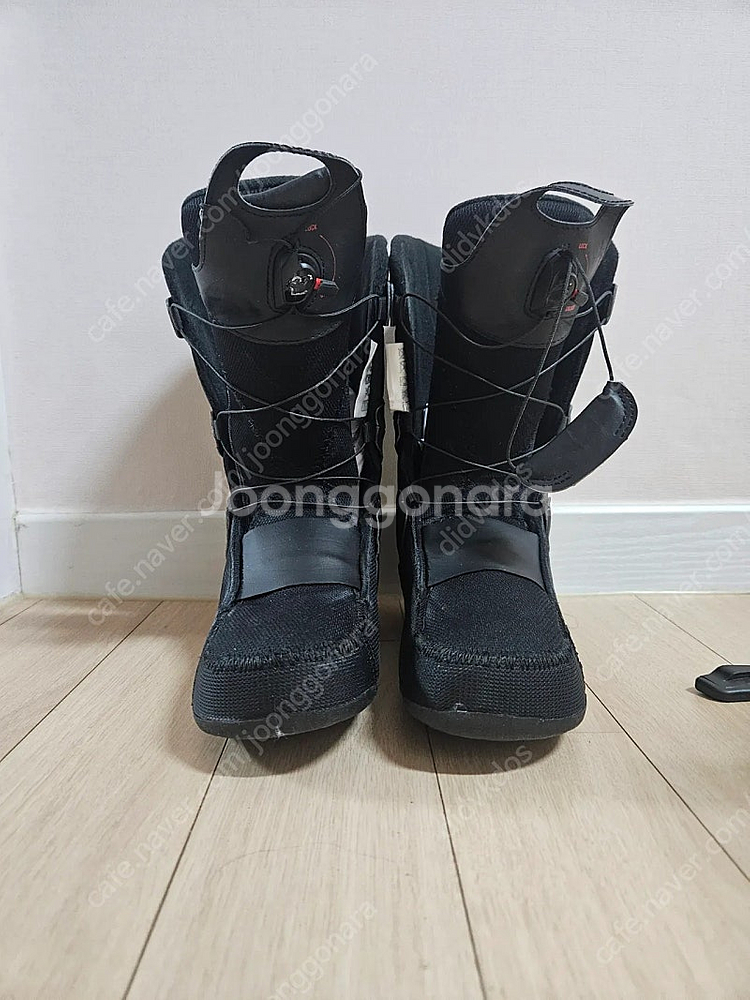 살로몬 말라뮤트 255--2