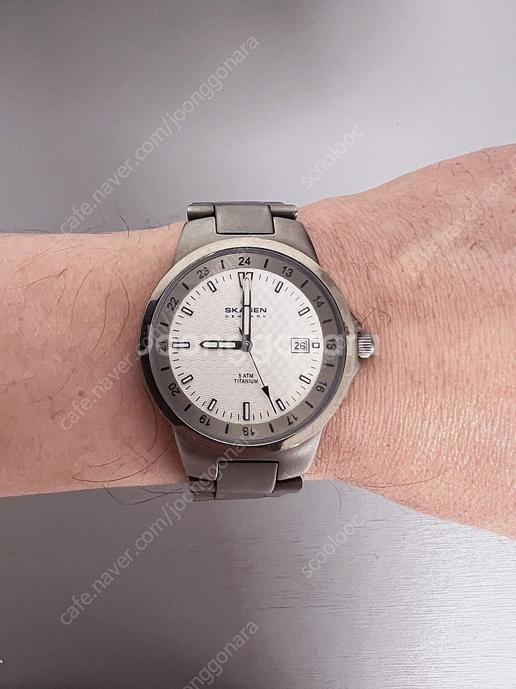 스카겐 SKAGEN 쿼츠 티타늄 시계 판매합니다.--0