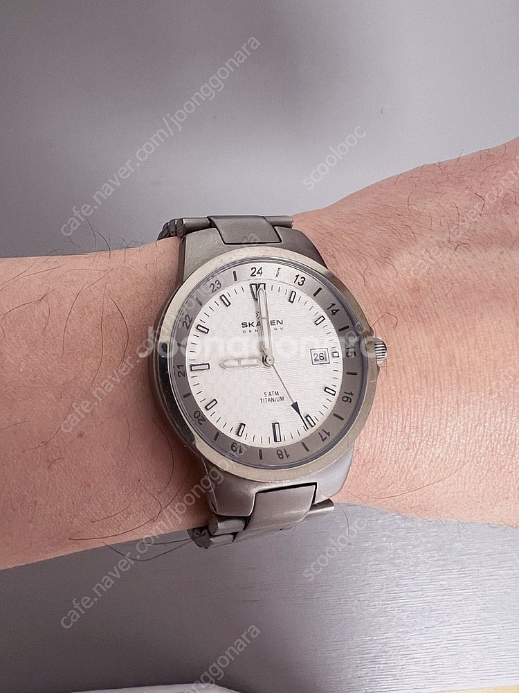 스카겐 SKAGEN 쿼츠 티타늄 시계 판매합니다.--1
