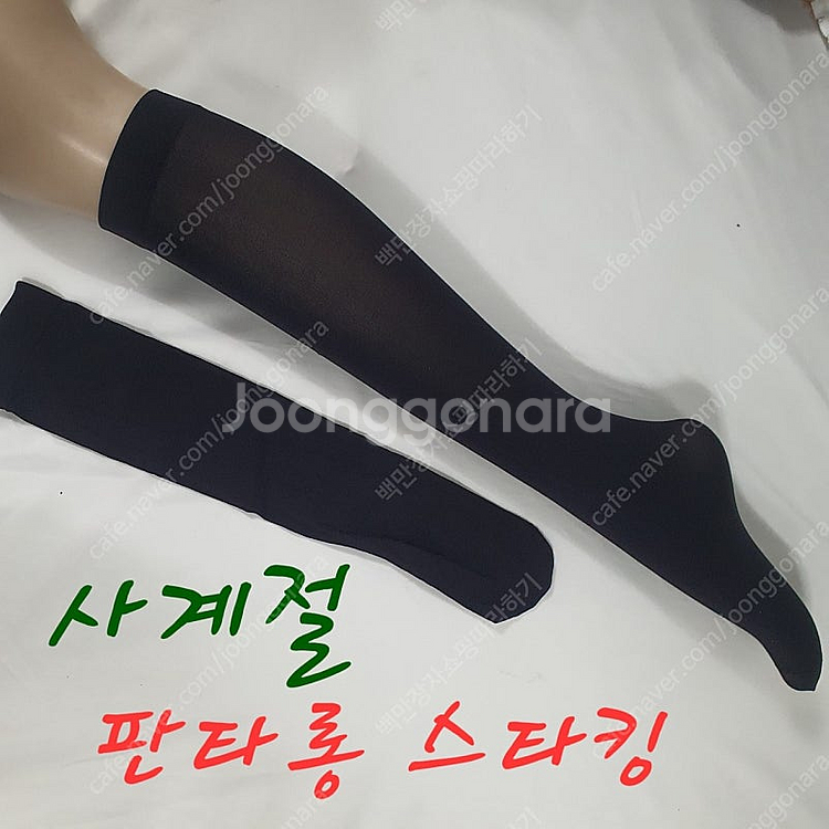 판타롱스타킹 100켤레 벌크포장 사은품 판촉 선물 전도...--0