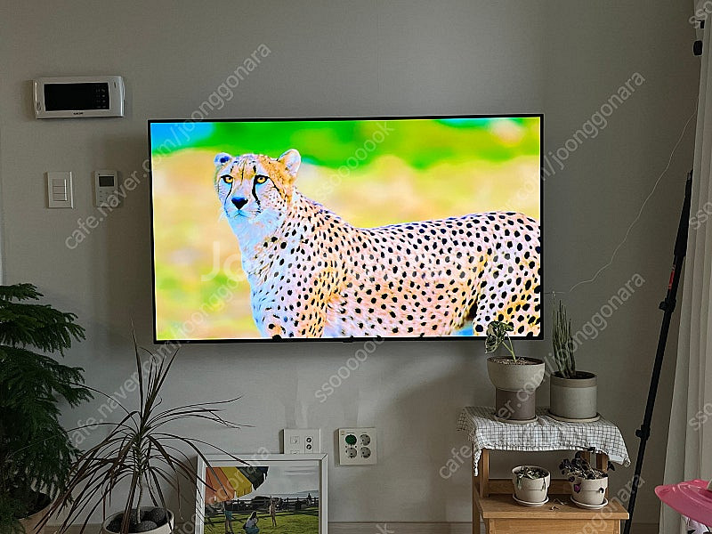LG OLED TV 55인치--0