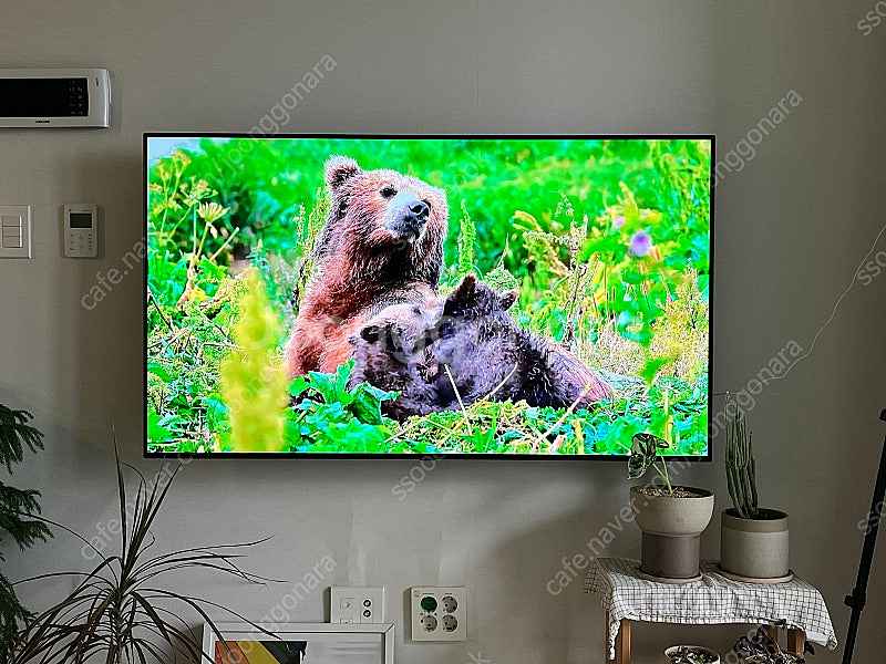 LG OLED TV 55인치--1