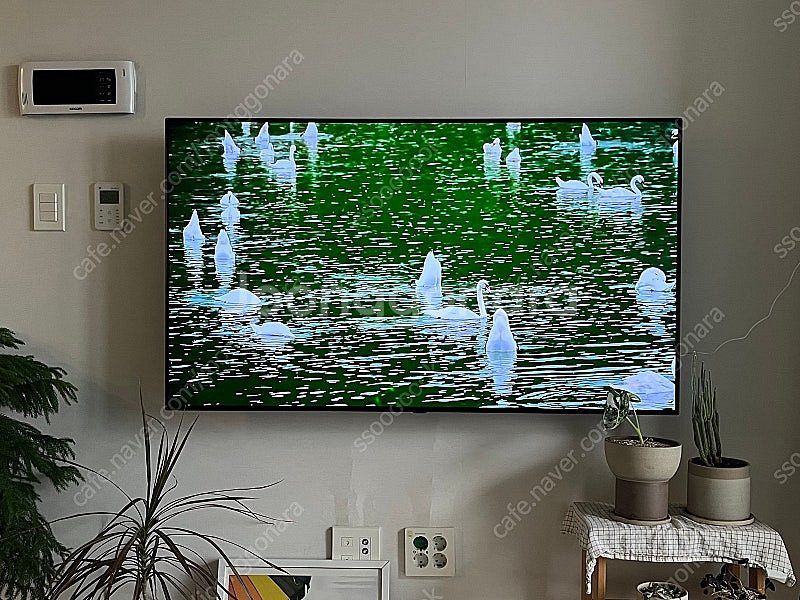LG OLED TV 55인치--2