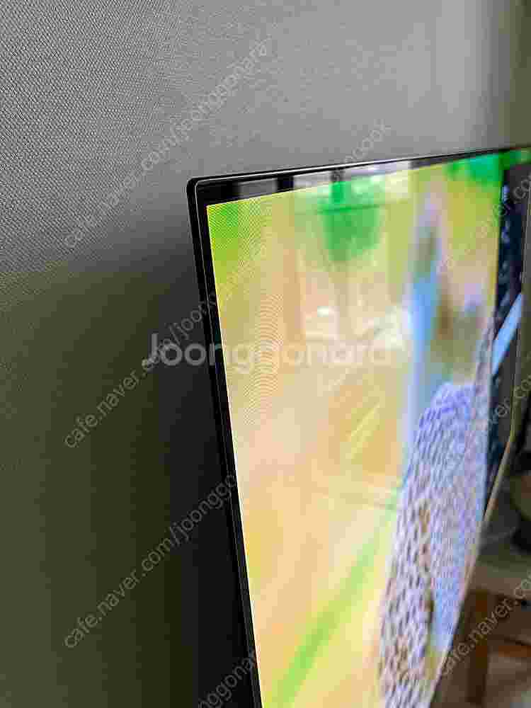 LG OLED TV 55인치--3