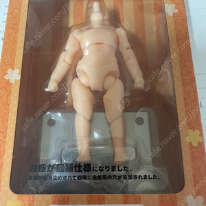 넨드로이드돌 바디 맨타입 피치 팝니다(미개봉)