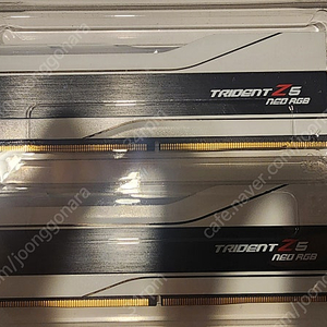 지스킬 트라이덴트 Z5 네오 RGB 16GB x2 화이트 AMD EXPO