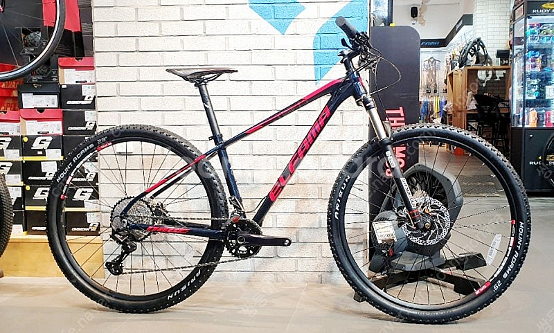 엘파마 페이스 P8000 29인치--0