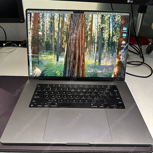 M1max 16인치 스그 CTO (64g, 4TB)