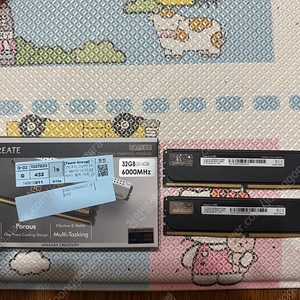 Team Group DDR5 6000 CL30 EXPERT 블랙 서린 판매합니다