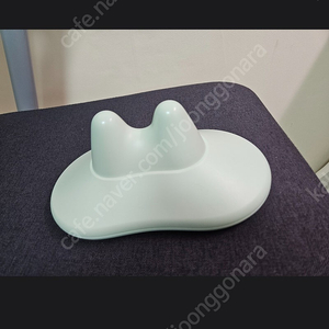 Snpe 다나손