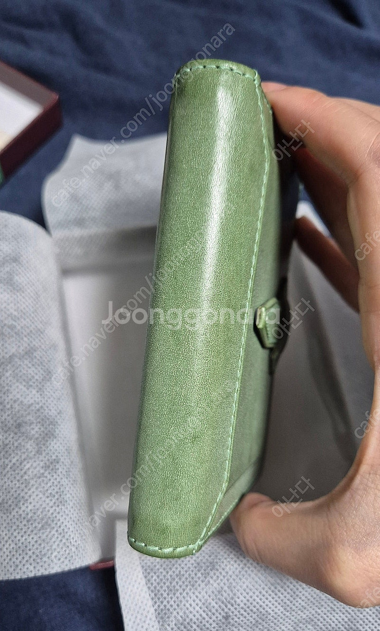다빈치 로로마 에스메랄다 5공--4