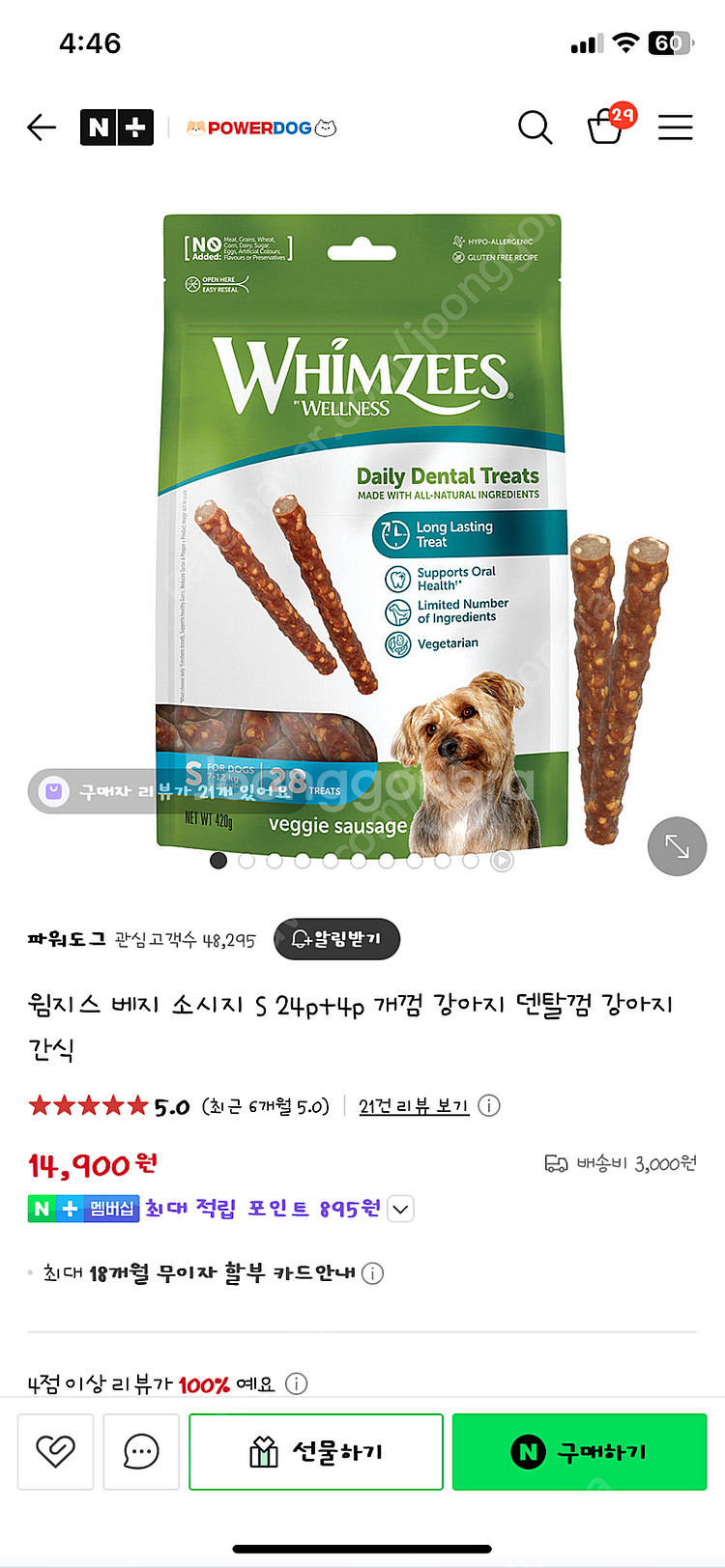 🩷개껌40개🩷--2