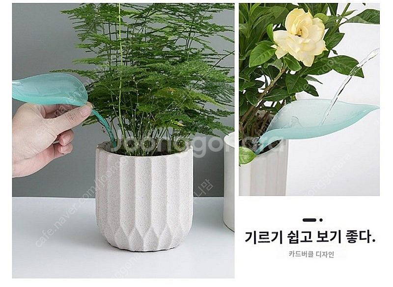 3개세트) 나뭇잎 물주입기 화분 식물 급수 깔때기 물조루 물조리개 파충류 도마뱀--7