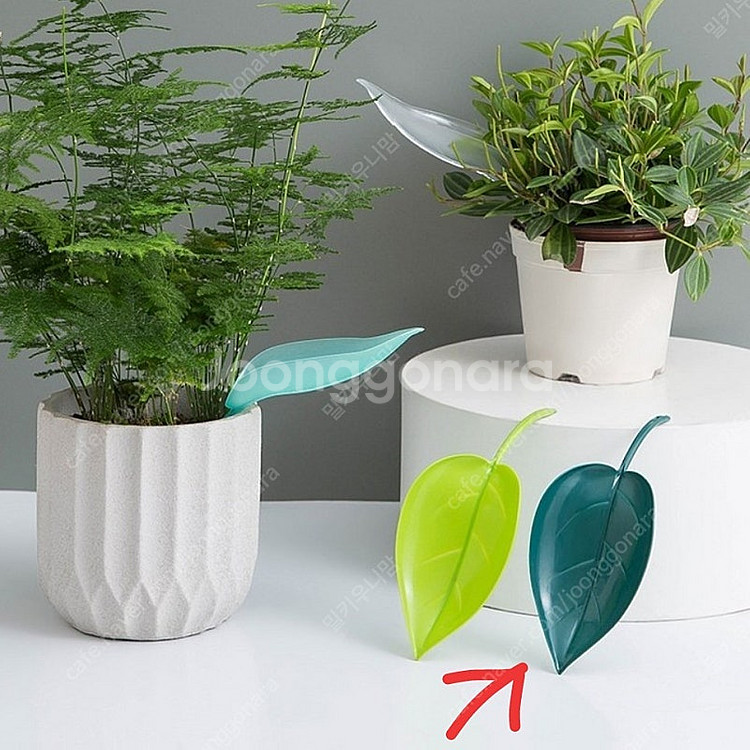 3개세트) 나뭇잎 물주입기 화분 식물 급수 깔때기 물조루 물조리개 파충류 도마뱀--8