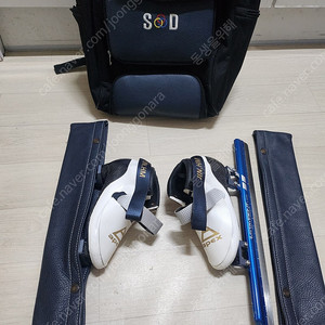 아펙스 225~230+고글
