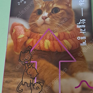이승효T 이륙 26 확통