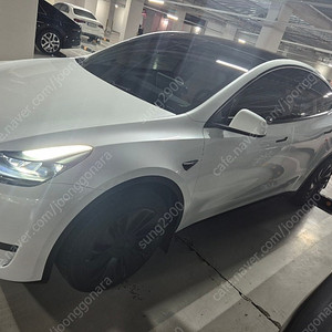 테슬라 Y rwd 24년식