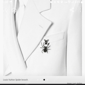 루이비통 거미 브로치 정품(LV spider brooch)