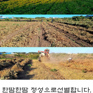 무첨가 땅콩버터 제주 코코방앗간 우도땅콩버터 100%
