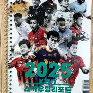 2025 K리그 스카우팅리포트