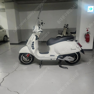 베스파 gts 125 abs hpe 블박유