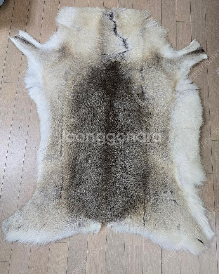 핀란드 순록가죽러그 (포카레인디어하이즈 M) 팝니다.--0