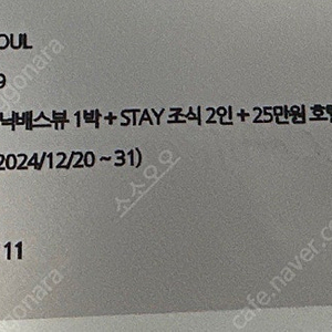 시그니엘 서울 프리미어 시닉배스뷰 조식 2인 25만호텔크래딧 과일커티시