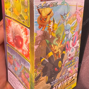 포켓몬카드 이브이히어로즈