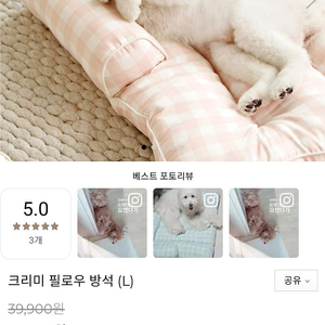 울리 강아지 애견방석 라지사이즈