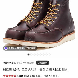 레드윙 목토 8847 7.5e 255 새상품팔아요!