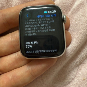 애플워치6 에르메스 실버 44mm