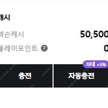 넥슨 캐시 팝니다 충전 된 50,500원 (84%)