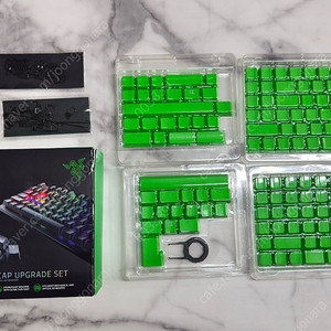 레이저 pbt 키캡 그린 판매