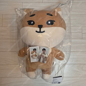 데이식스 자이언트 데니멀즈 케둥이 팝니다.
