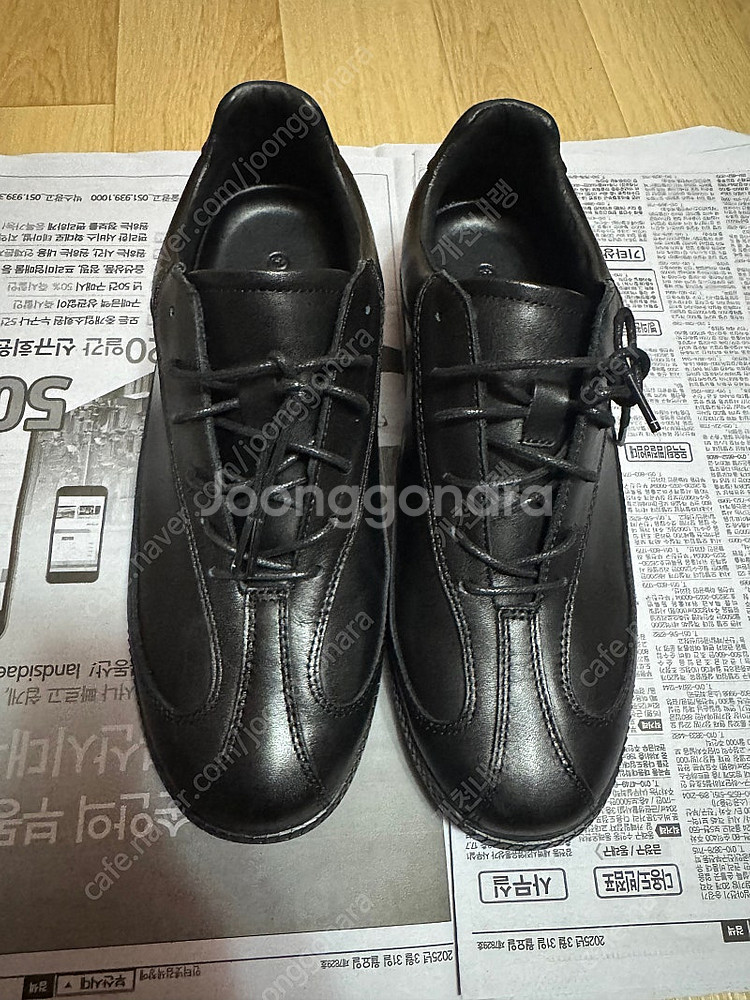 페몬트 드레스 블랙 260 부산--1