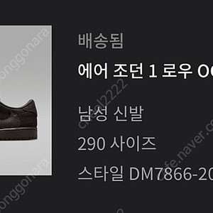 나이키 스킷 벨벳브라운 290