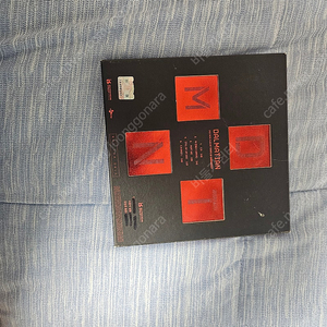 달마시안 2집미니앨범 팝니다