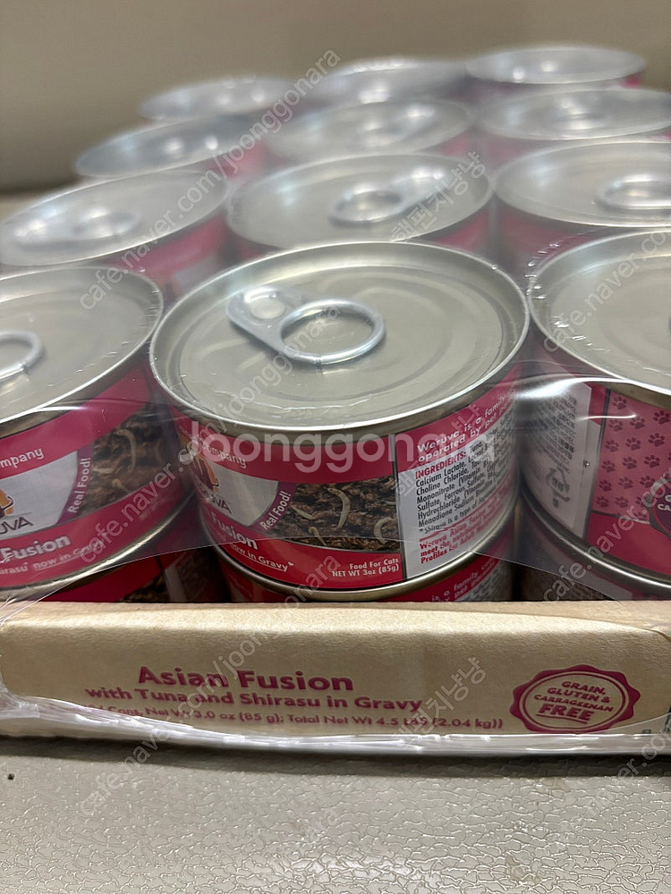 고양이 웨루바--0